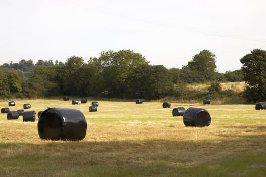 A hay bale.covered in black plastic in a field