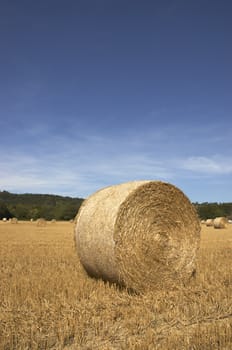 summer landscape with hay bales and deep blue skyscape