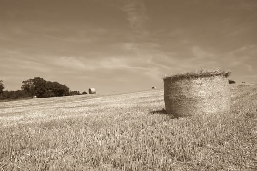 summer landscape with hay balessepia toned