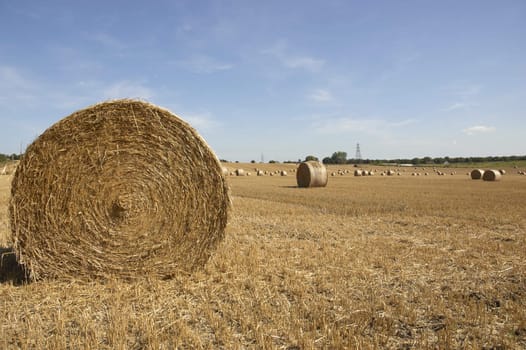 summer landscape with hay bales and deep blue skyscape