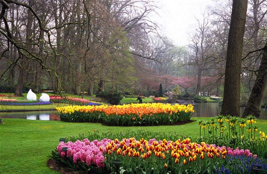 Thousands of hyacinths and tulips bloom in the spring in Keukenhof Gardens, Lisse, The Netherlands.