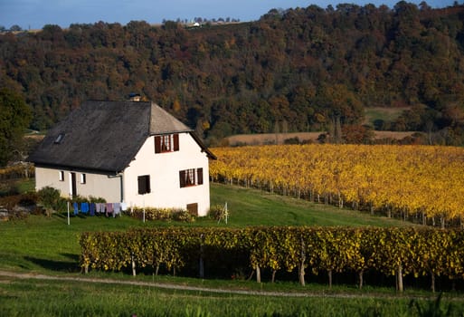 A home sits nestled among the vines of a vineyard in the Aquitane region of southwest France.