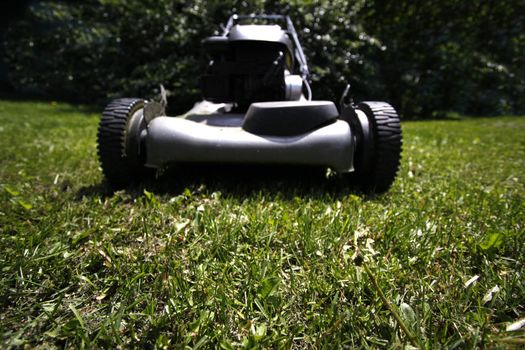 Lawn mower in the backyard