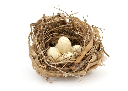 Small bird nest with eggs on white background