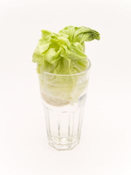 glass with lettuce