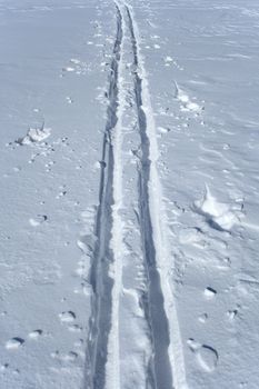 Winter sport. Ski tracks in the snow.