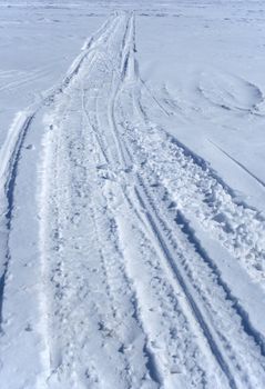 Snowmobile tracks crossing the snowy winter terrain.