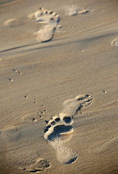 Prints of person legs on sand