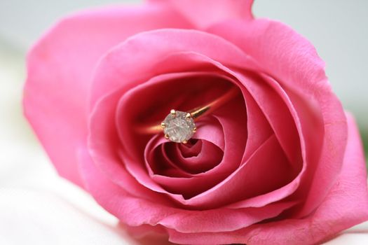 Solitaire diamond engagement ring in a pink rose