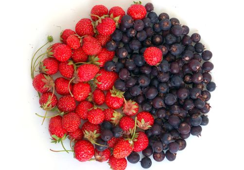 yin yang symbol made of fresh strawberries and bog bilberries