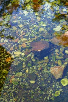 The image of transparent water with stones water