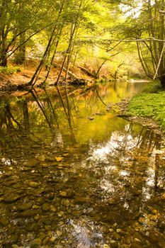 Big Sur is a sparsely populated region of the central California, United States coast where the Santa Lucia Mountains rise abruptly from the Pacific Ocean.