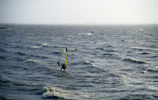 Wind surfers on the inland sea near Urk, the Netherlands.