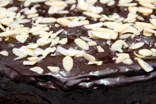 chocolate cake over white background