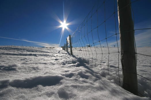 cold winter landscape with snow
