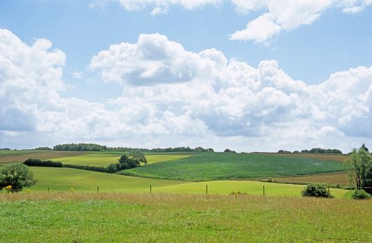 A bright green Belgian field in spring under a blue sky with fluffy white clouds.