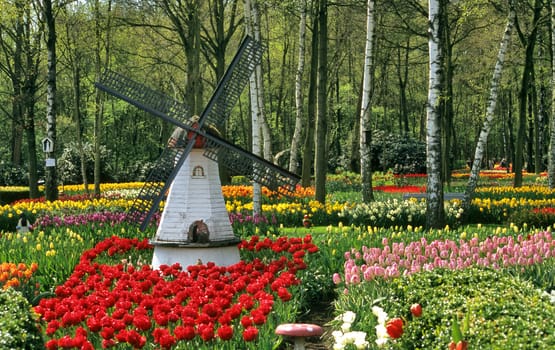 An ornamental windmill decorates a garden filled with Dutch tulips during spring in rural Belgium.