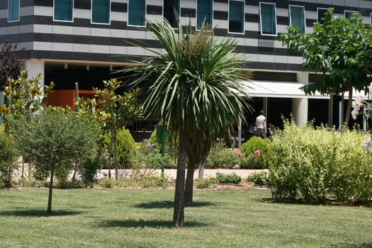 garden alea in modern commercial buildings block 