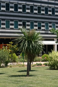 garden alea in modern commercial buildings block