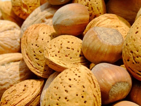 Close-up of mixed nuts