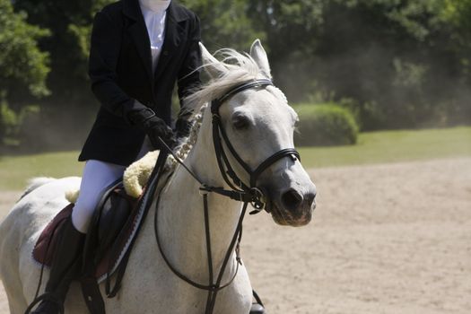 beautiful horse riding during horse jumping contest