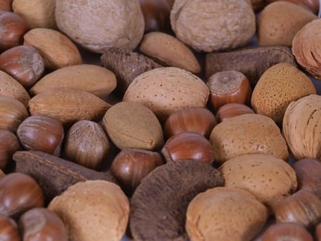 Closeup of mixed Nuts with ni background