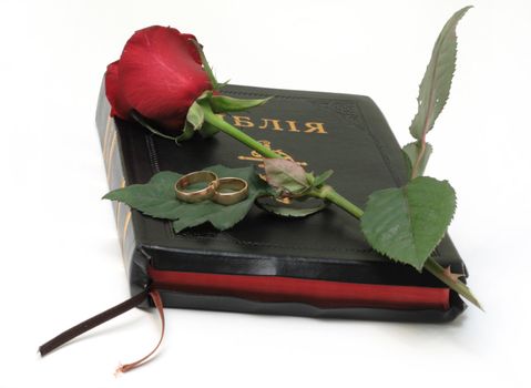 Bible and red rosa isolated on whote