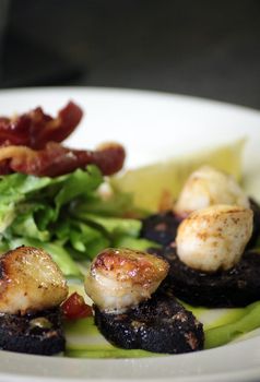 A freshly prepared plate of scallops with black pudding set on aplate with fresh green salad and crispy bacon.