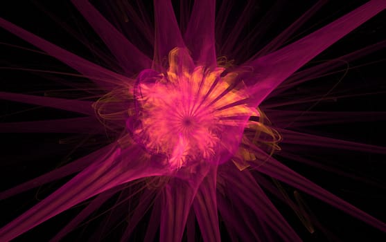 A pink fractal on a black background