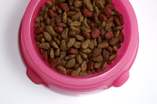 A pink bowl of cat food isolated on a white background