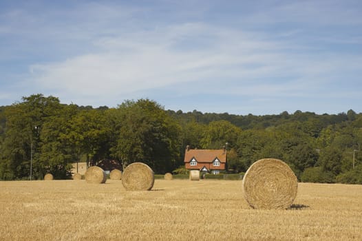 summer landscape with hay bales and deep blue skyscape