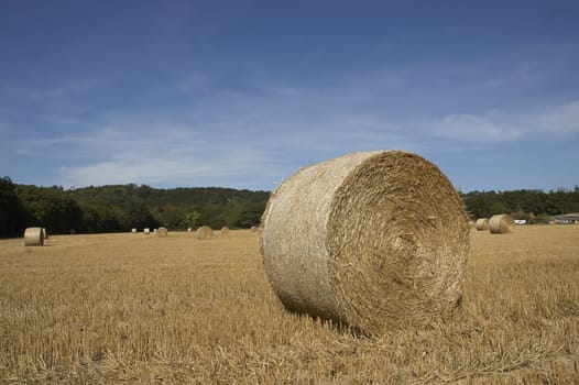 summer landscape with hay bales and deep blue skyscape