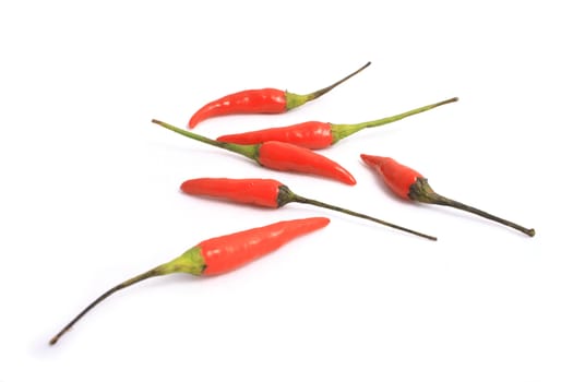 Little red peppers on a white background