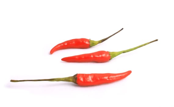 Little red peppers on a white background