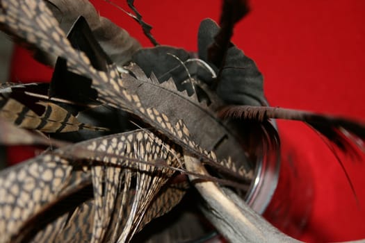 close up of feathers used to bind flies.