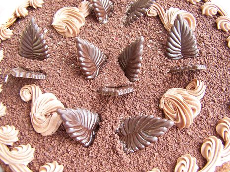 Cake made of chocolate. Decorated with chococolate leaves and cream. Macro