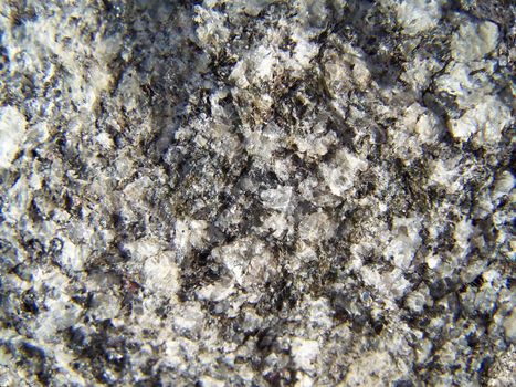 Close up pf the black and white raw granite texture