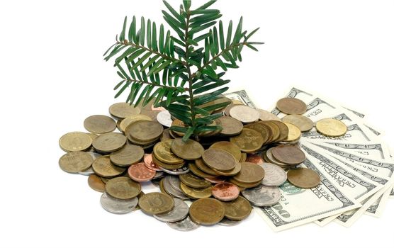 Plant rising from a pile of golden coins - conceptual image for profit investments success and finances 