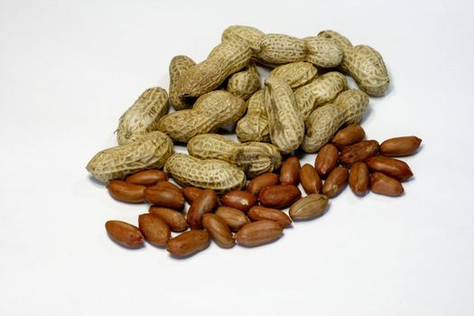 isolated peanut shell pile and open nut