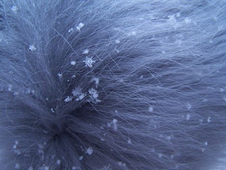 Crystal snowflake on blue fur.