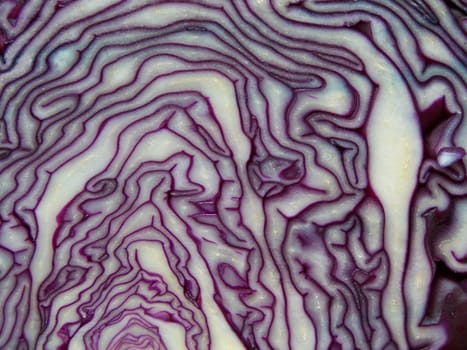 Close up of cabbage cross section. Background.