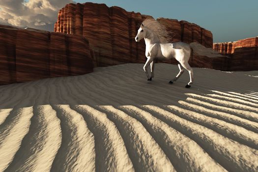 A beautiful white stallion stands near weathered canyon cliffs.