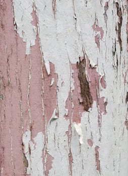 great image of old wood with paint peeling