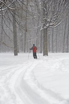 Man skiing in a fresh snow during a snowfall.