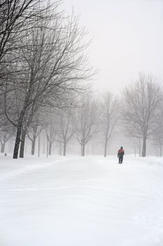 Man walking in a snowy park during a snowfall.