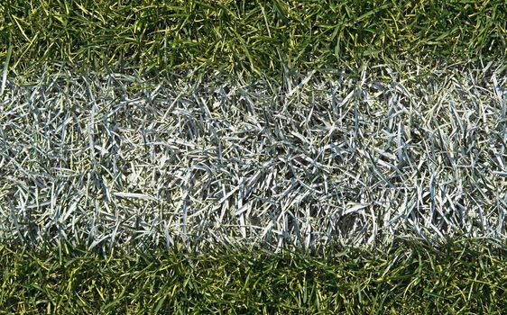 Closeup of white boundary line of a generic playing field (football, soccer, baseball, rugby, etc�)