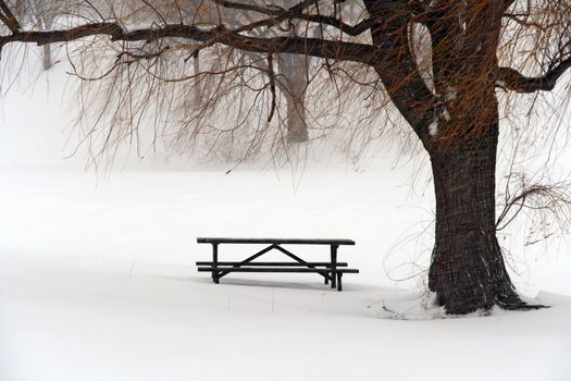 Picnic table in snow under a tree during winter blizzard.