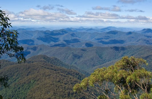 great image looking of the forested mountains 
