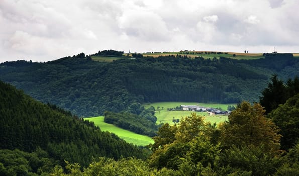 Green valley with farm and cows on cloudy summermorning