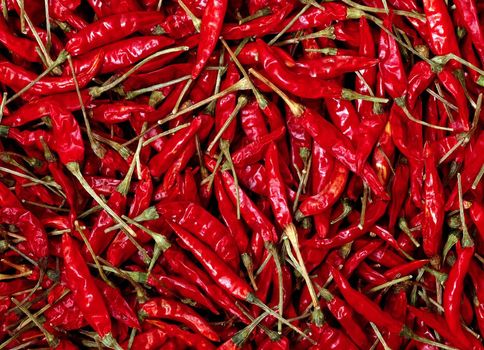 red chillies background